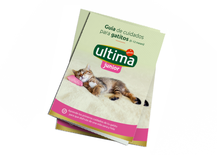 Guía gatitos Ultima.png